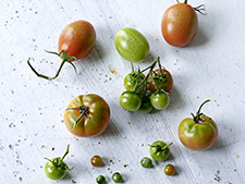 FOOD & DRINK PHOTOGRAPHY