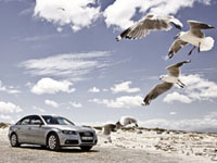 INTERNATIONAL PHOTO PRODUCTION