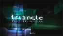 Triangle Television