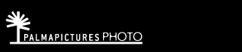 website palma pictures photo