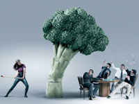 PHOTO PRODUCTION