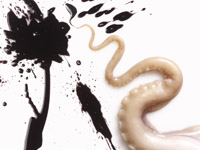 FOOD & DRINK PHOTOGRAPHY