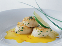 FOOD & DRINK PHOTOGRAPHY