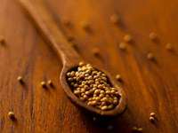 FOOD & DRINK PHOTOGRAPHY