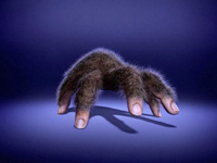 PHOTO POST PRODUCTION, CGI & 3D