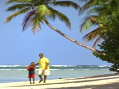 Sasi Caribbean