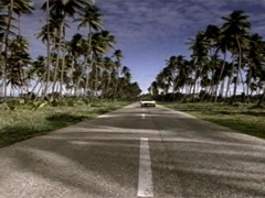 Sasi Caribbean