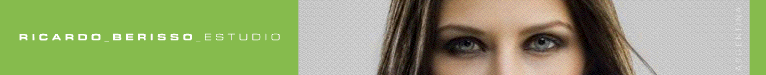 website ricardo berisso estudio