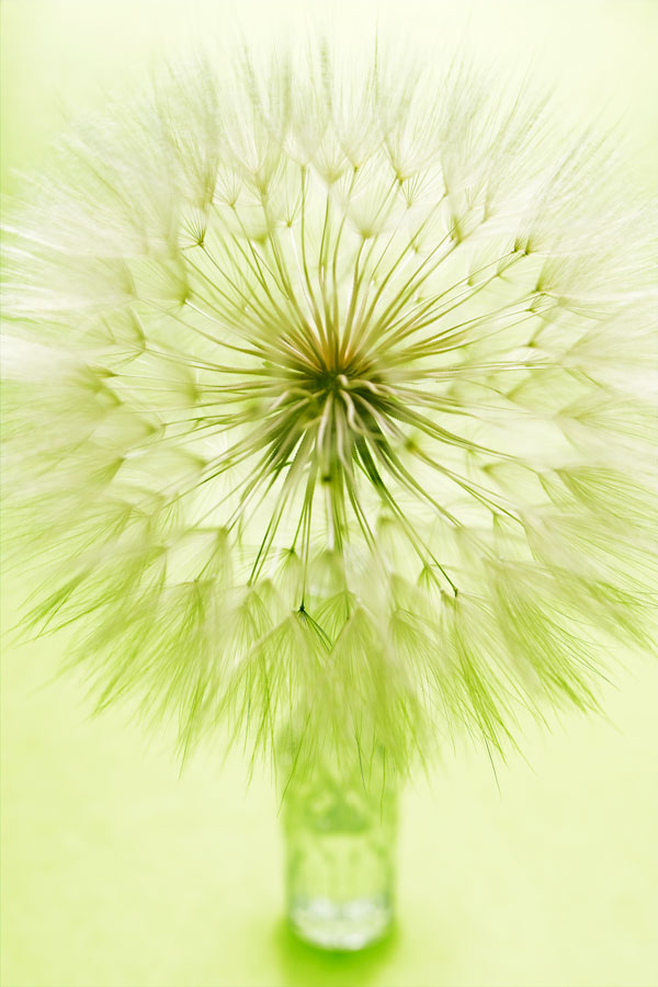 Annette Slade Photography