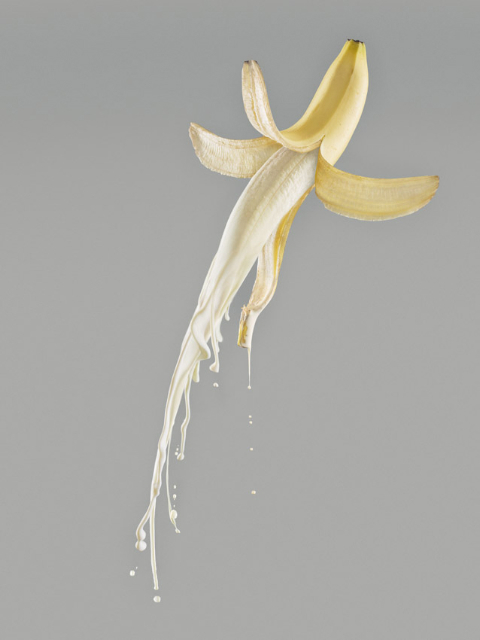 Carolyn Trayler Agency