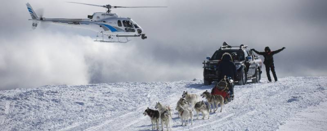  Heli Sled Dogs gallery