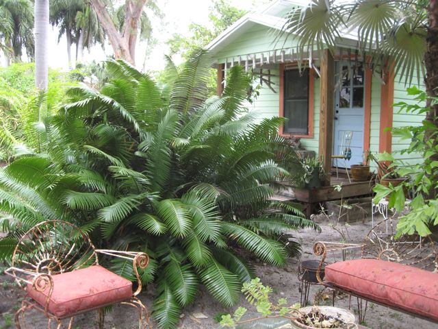 Magic City Farm