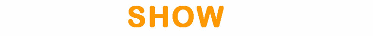 website showtech