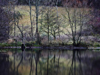 INTERIORS & EXTERIORS AND RESORT PHOTOGRAPHY