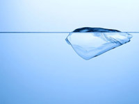 STILL LIFE PHOTOGRAPHY