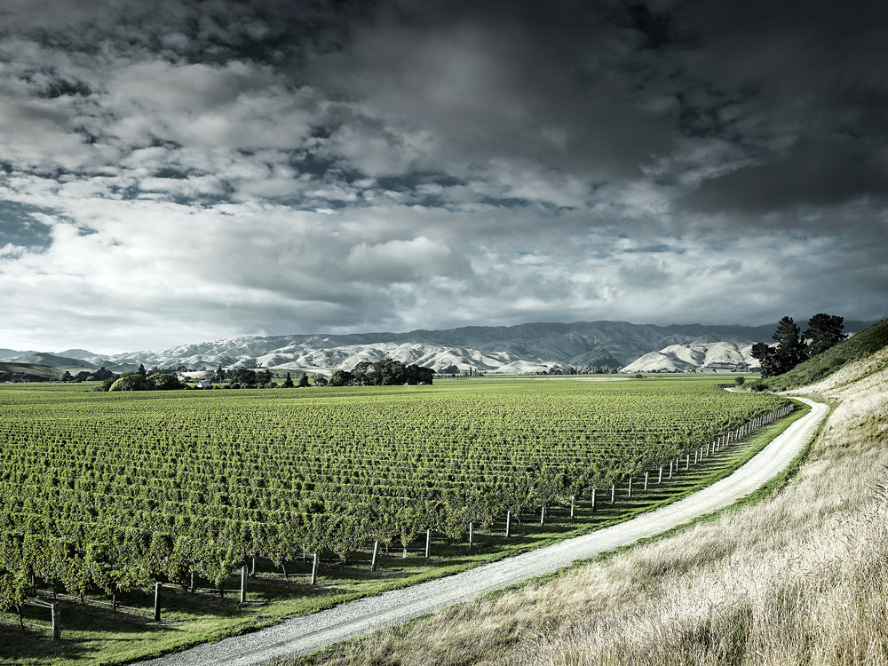 Urs Buhlman Photography