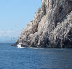SARDINIA PRODUCTION SERVICE