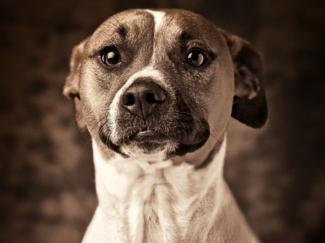Michael Hart Photography