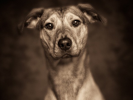 Michael Hart Photography