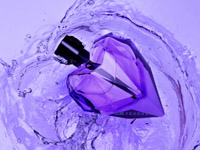 STILL LIFE PHOTOGRAPHY