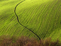 AUTOMOTIVE & LANDSCAPE PHOTOGRAPHY