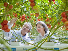 CORPORATE, INDUSTRIAL AND ANNUAL REPORT PHOTOGRAPHY