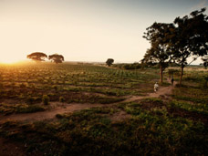 TRAVEL PHOTOGRAPHY