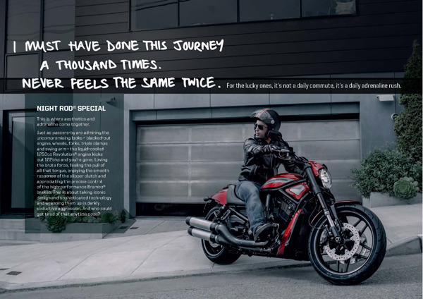  The Harley Davidson ad gallery