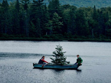 INTERNATIONAL LOCATIONS FOR PRODUCTION