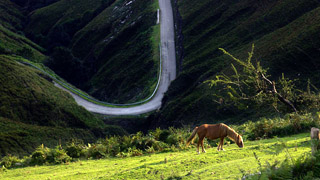 FILM & COMMERCIAL PRODUCTION AND POST PRODUCTION