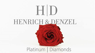 Client: Henrich & Denzel gallery