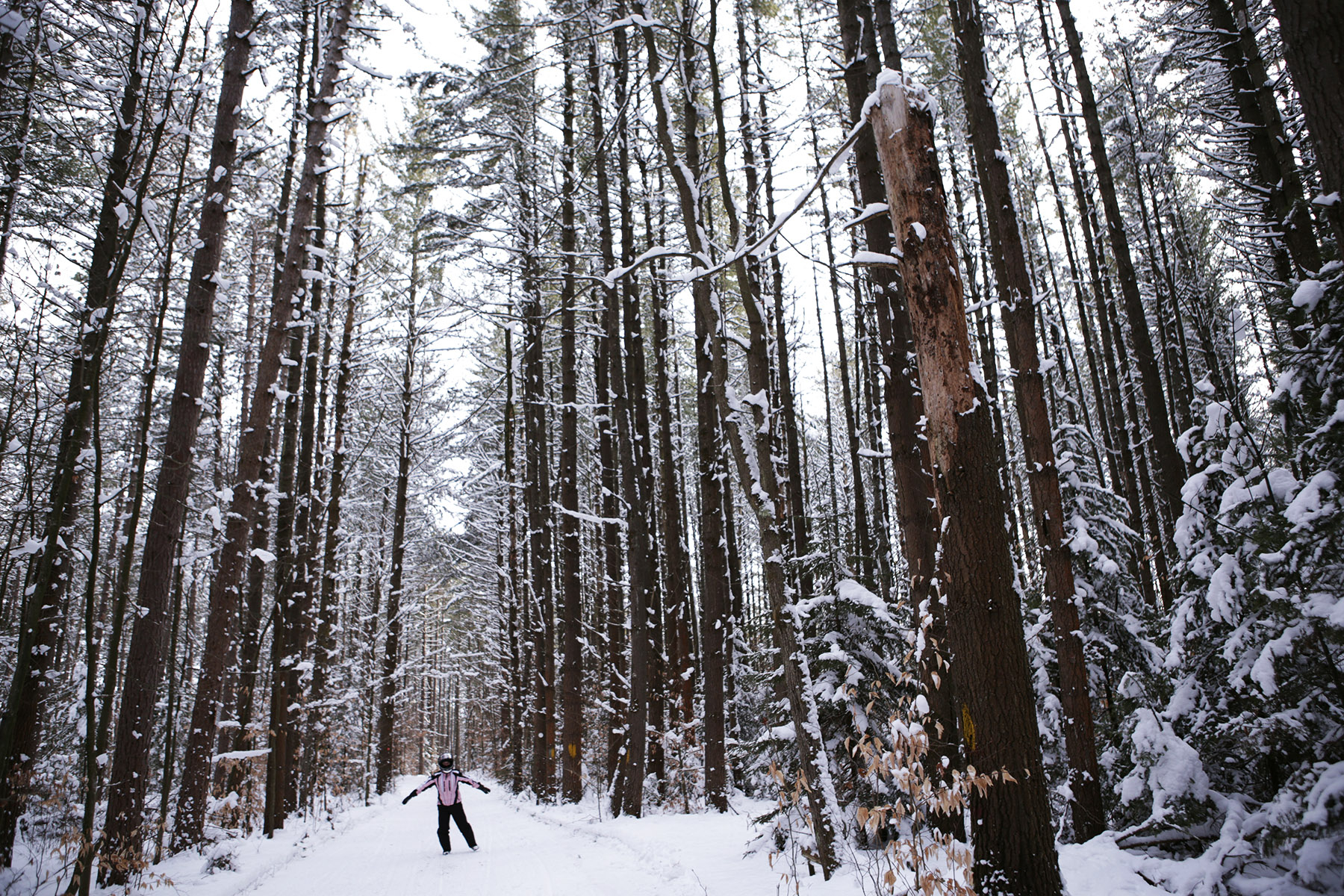 Adirondack Mountain Productions