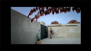 AASS - Soul Pictures - delete