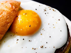 FOOD & DRINK PHOTOGRAPHY