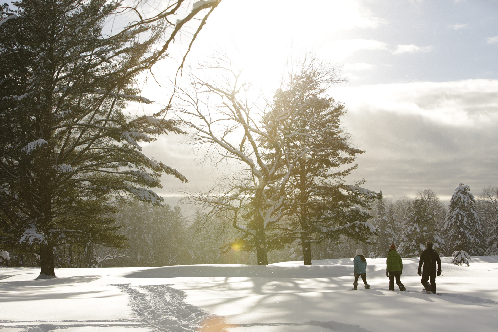 Adirondack Mountain Productions