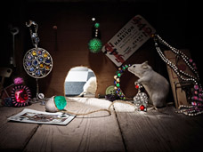 STILL LIFE PHOTOGRAPHY