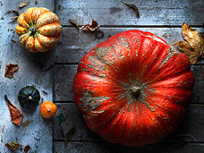 FOOD & DRINK PHOTOGRAPHY
