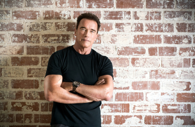  Arnold Schwarzenegger gallery