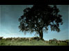 FILM & COMMERCIAL PRODUCTION
