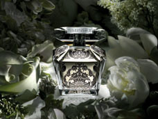 COSMETICS & FRAGRANCE PHOTOGRAPHY