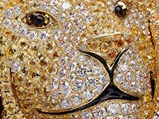 WATCHES & JEWELLERY PHOTO + MOTION