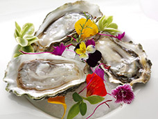 FOOD & DRINK PHOTOGRAPHY + MOTION