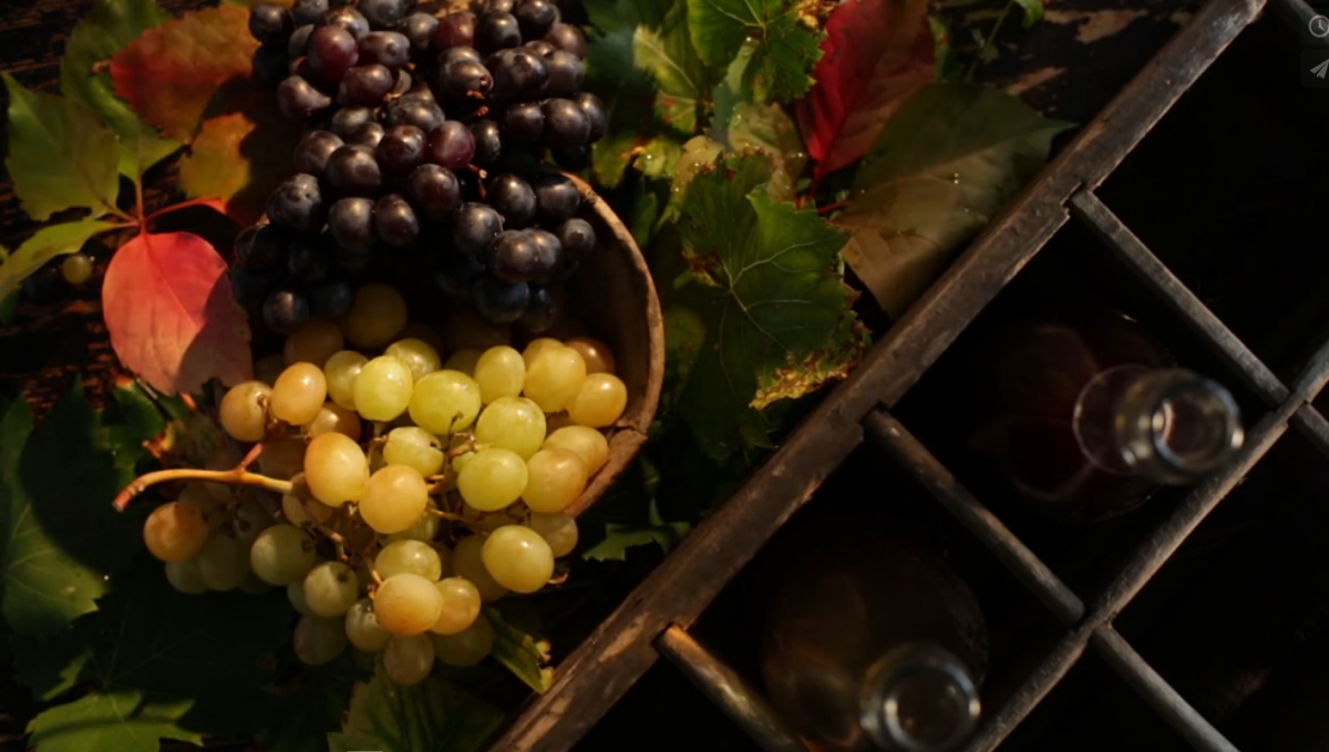 Francesco & Nataly Majo